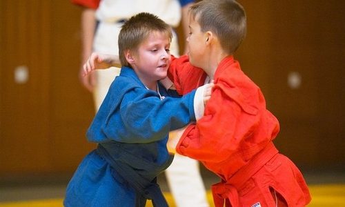 Практико-методический семинар  в рамках Всероссийского проекта «Самбо в школу»